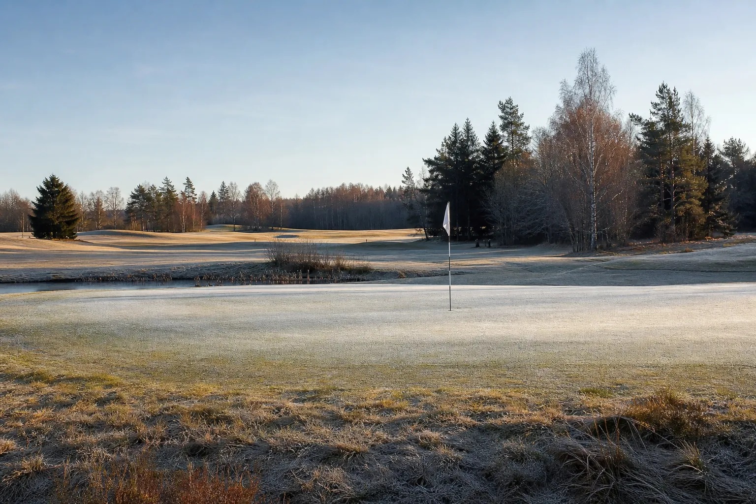 En golfbana sen höst med gulnat gräs och lätt frost på vintergreenen